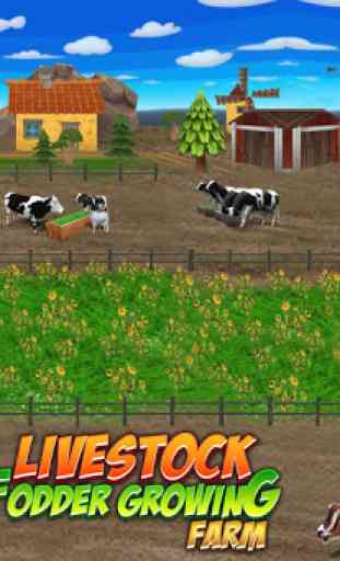 Livestock Fodder Growing Farm 2