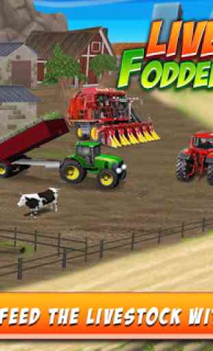 Livestock Fodder Growing Farm 3