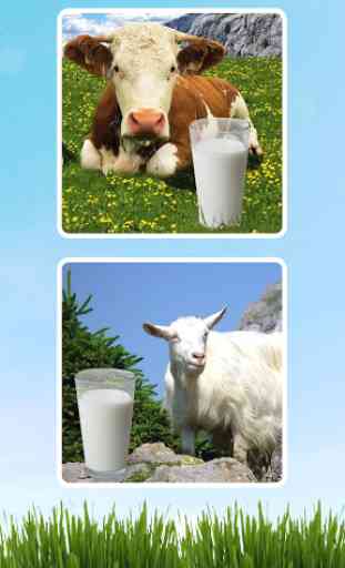 Milking Cow Simulator 1