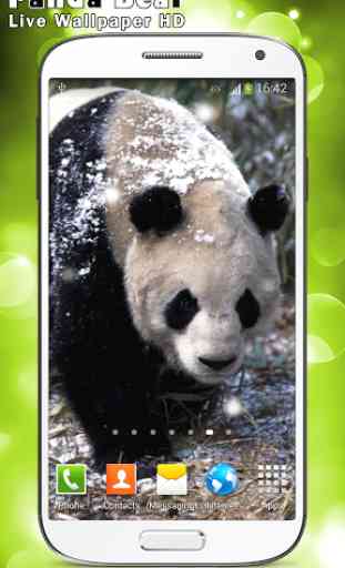 Panda Bear Live Wallpaper HD 3
