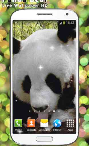 Panda Bear Live Wallpaper HD 4