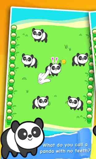 Panda Evolution -  1