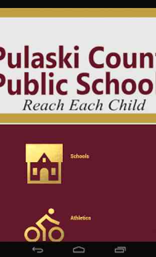 Pulaski CPS 3