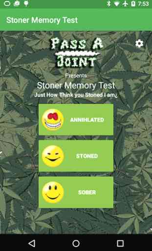 Stoner Memory Test: Weed Brain 1