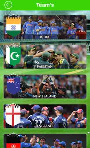 best cricket world cup 2015 4