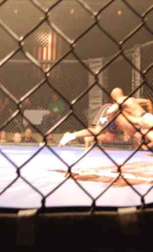 Cage Fighting Wallpapers - HD 2