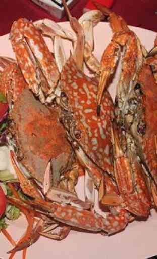 Connie's Zucchini Crab Cakes 3