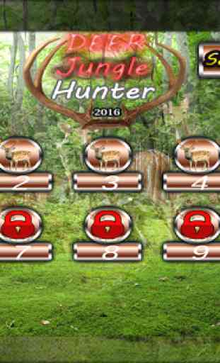 Deer Jungle Hunter 2016 3