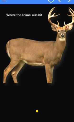 Deer Tracker 1