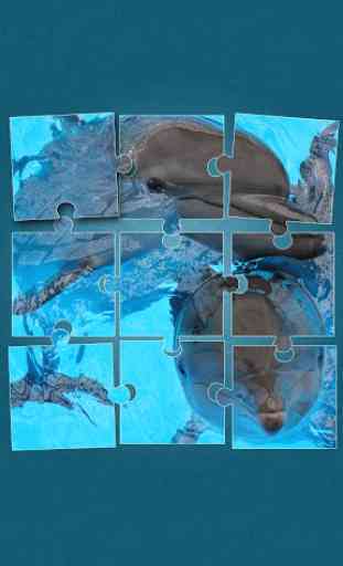 Dolphins Jigsaw Puzzle 1