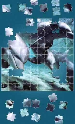 Dolphins Jigsaw Puzzle 2