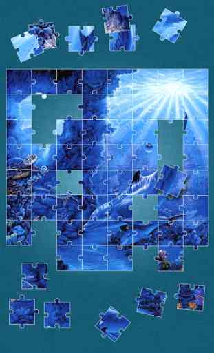 Dolphins Jigsaw Puzzle 3