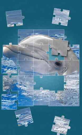 Dolphins Jigsaw Puzzle 4