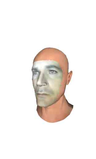 Faces (Your Face In 3D) 3