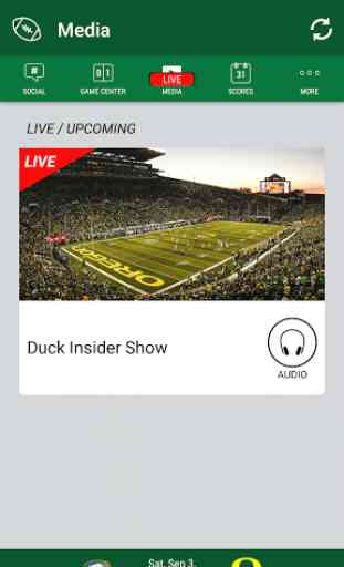 Go Ducks Oregon Gameday 3