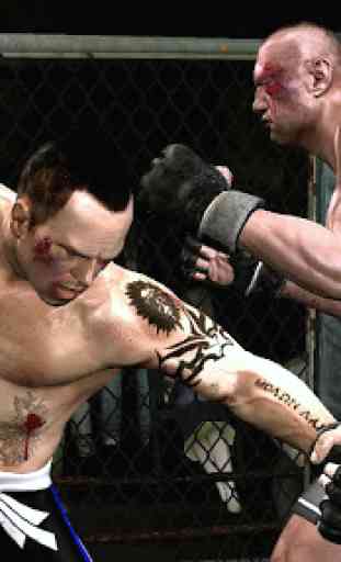 Guide to Cage fighting MMA 3