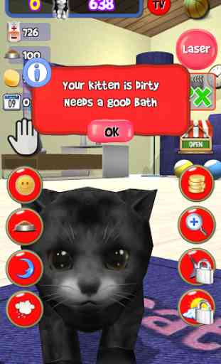 Homeless Cat Care Virtual Pet 2