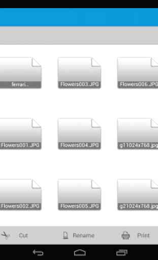 HP File Manager 1