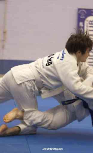 Judo Lessons 4