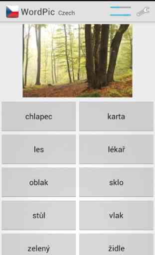 Learn Czech with WordPic 3