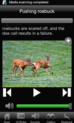 Roebuck Hunt 3