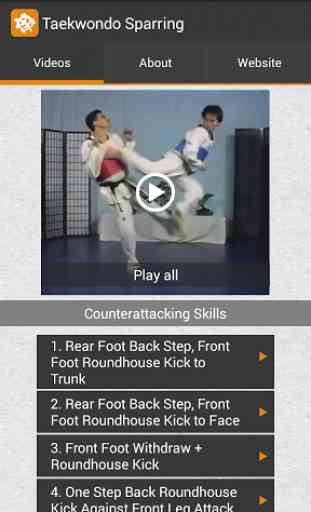 Taekwondo Sparring Skills 2