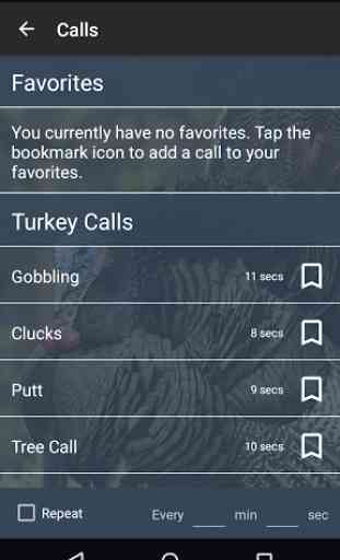 Turkey Calls 1