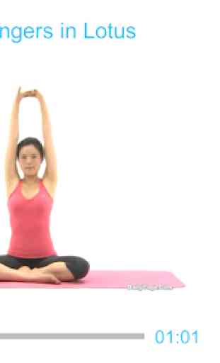 Yoga for Toned Arms (PRO) 2
