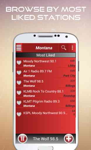 A2Z Montana FM Radio 3