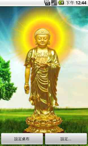 Buddha's Light shines live wa 3