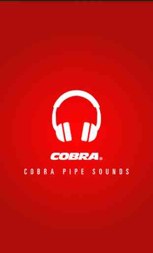 Cobra H-D Exhaust Sounds 1