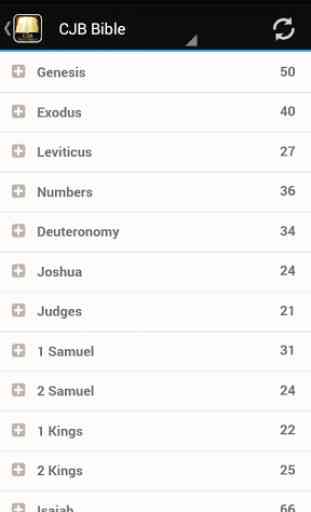Complete Jewish Bible (CJB)1.0 2