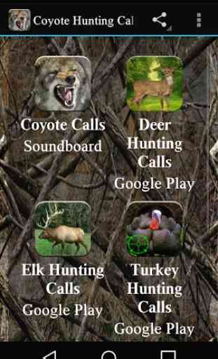 Coyote Hunting Calls 1