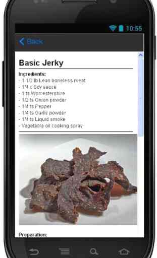 Delicious Jerky Recipes 4