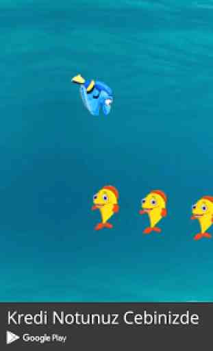 Dory Games 4
