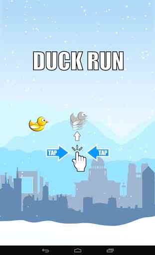 Duck Run 3