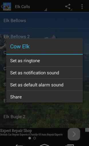 Elk Calls HD 3