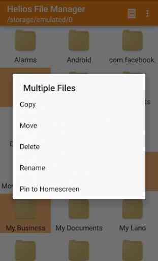 Helios File Manager 2