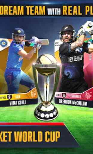 ICC Pro Cricket 2015 1
