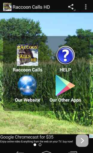 Raccoon Calls HD 1