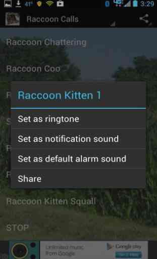 Raccoon Calls HD 4