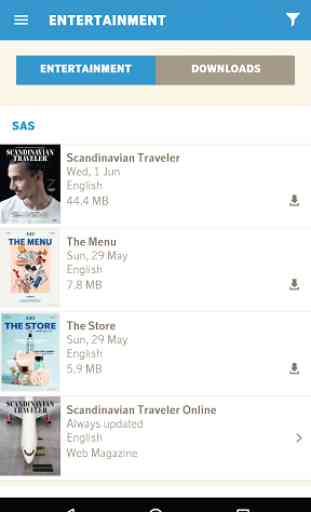 SAS Scandinavian Airlines 4