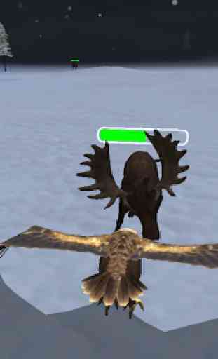 Snow Eagle 3D Sim 4