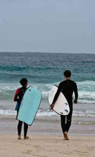 Surfing Lessons 4