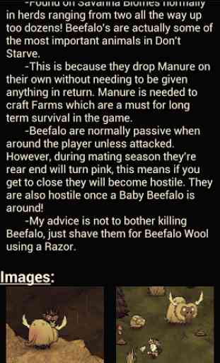 Survival Guide Don't Starve 3