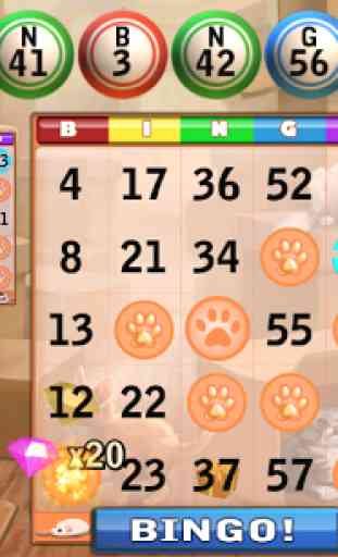 Bingo Cats 4