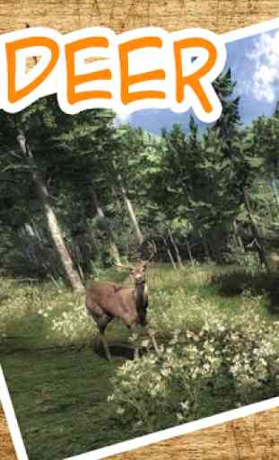 Deer Hunting Sniper Killer 3D 4