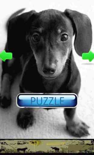 Dog Puzzle: Dachshund 2