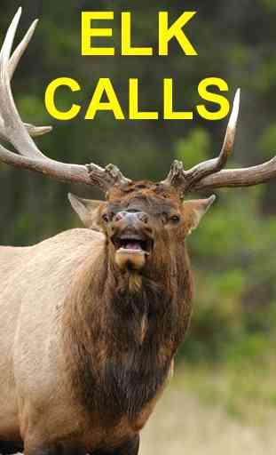 Elk Bugle & Elk Calls 4