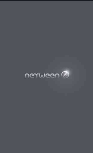 NetweenCam 1